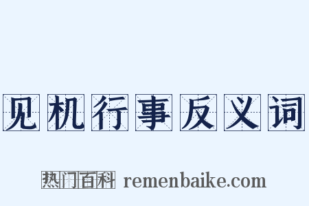 见机行事反义词是什么意思的图片
